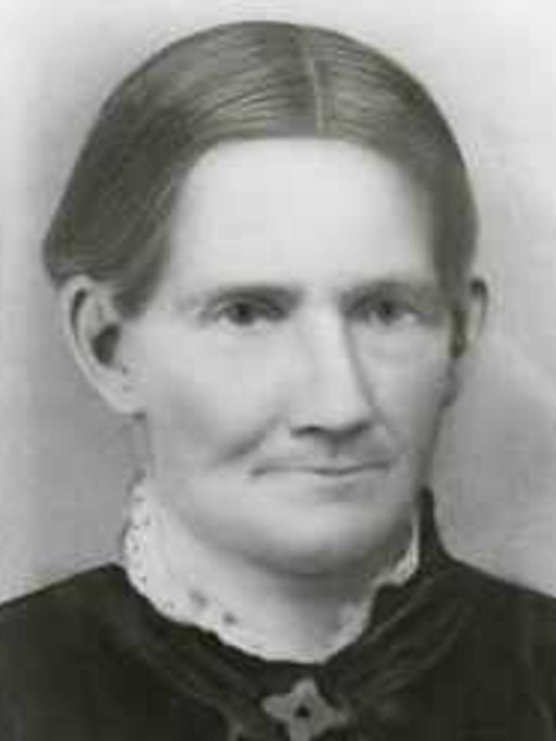 Lydia Ardelicia Elinor Gibson (1826 - 1915) Profile